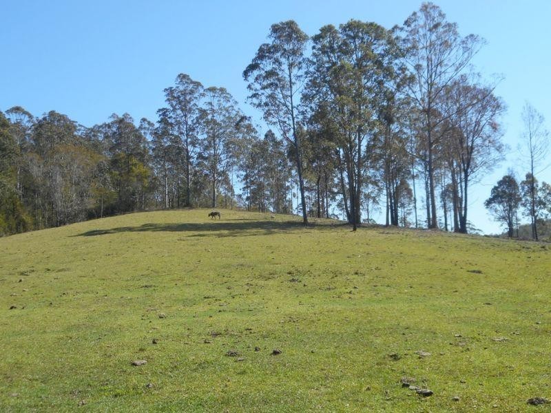 Upper Myall NSW 2423