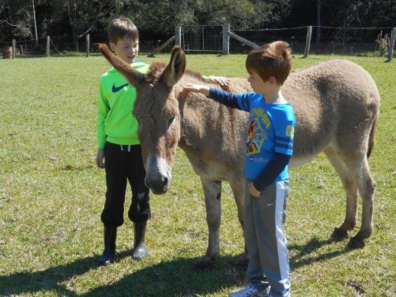 Upper Myall NSW 2423