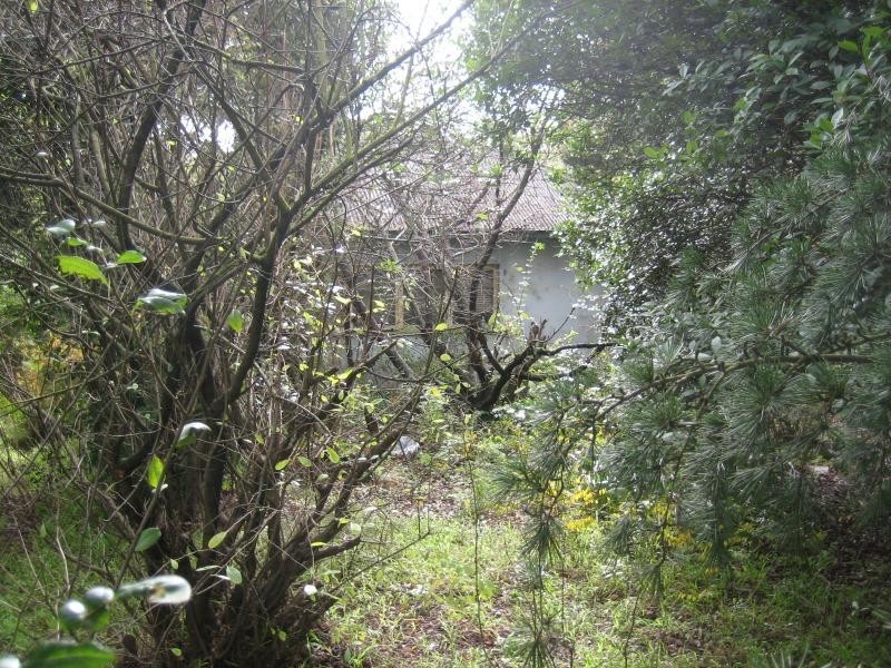 80 Great Western  Highway WOODFORD 2778, Woodford NSW 2778