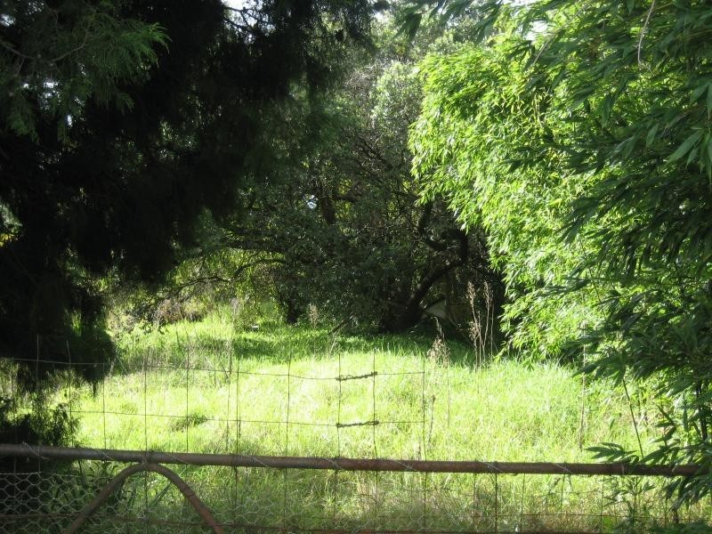 80 Great Western  Highway WOODFORD 2778, Woodford NSW 2778