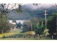 Laughtondale NSW 2775