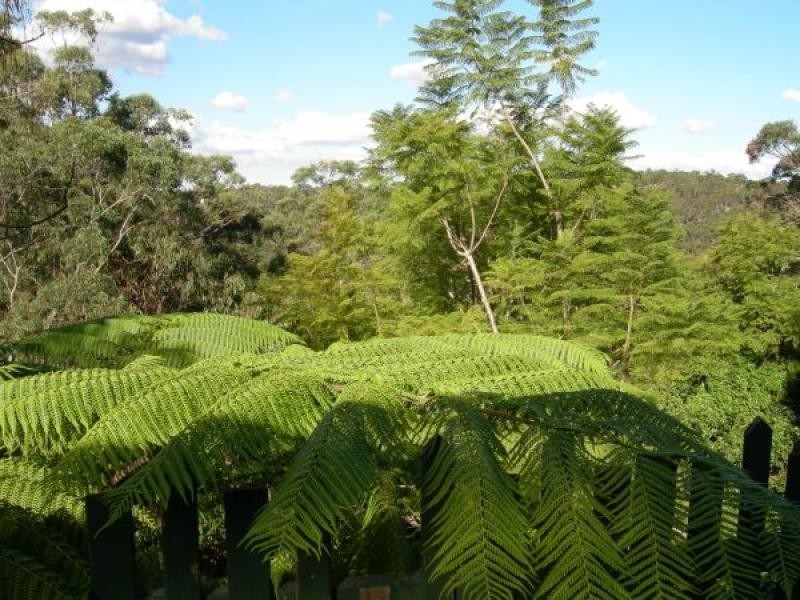 88 Somerville  Road HORNSBY HEIGHTS 2077, Hornsby Heights NSW 2077