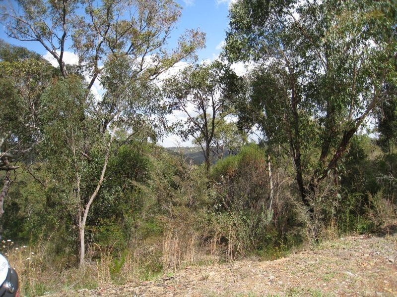 11 Burke Place MOUNT COLAH 2079, Mount Colah NSW 2079