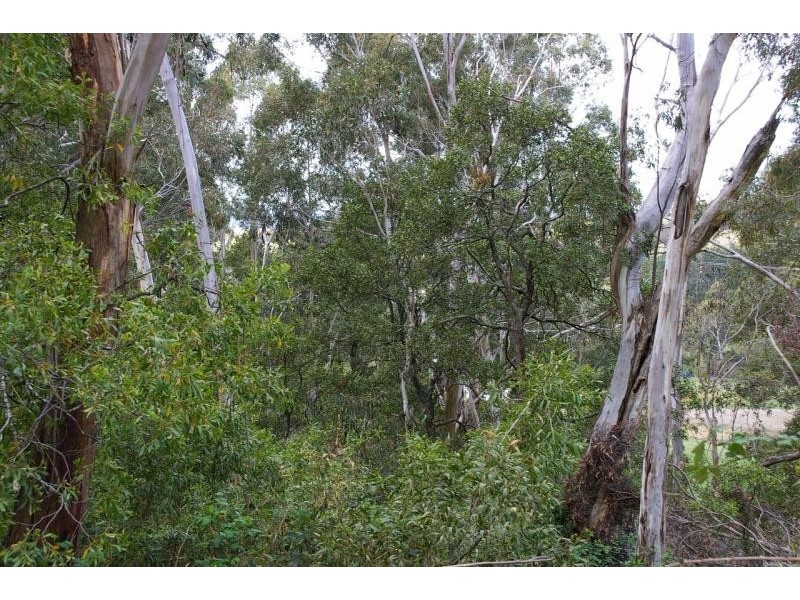 645 Rydal Road  OBERON 2787, Oberon NSW 2787