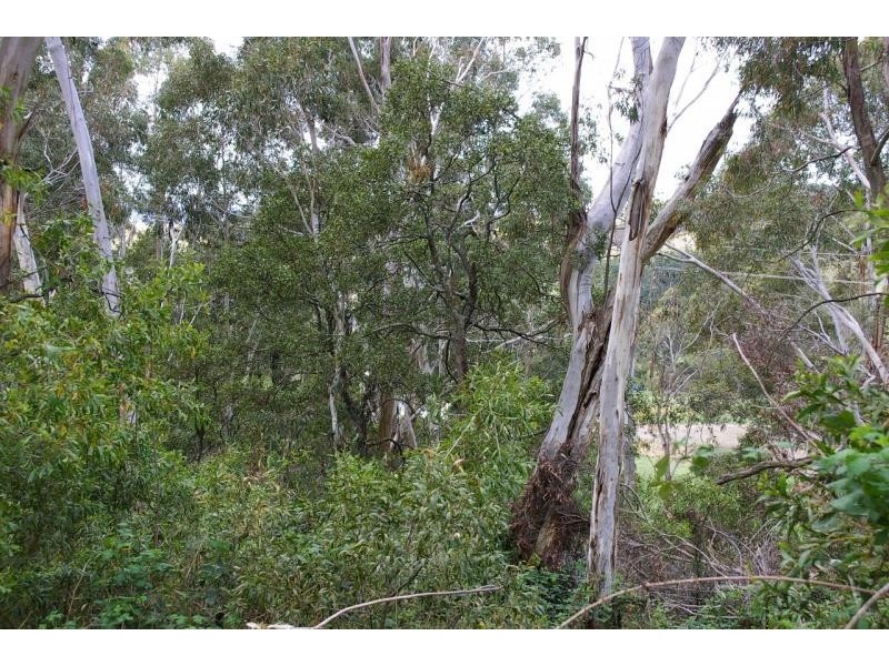 645 Rydal Road  OBERON 2787, Oberon NSW 2787