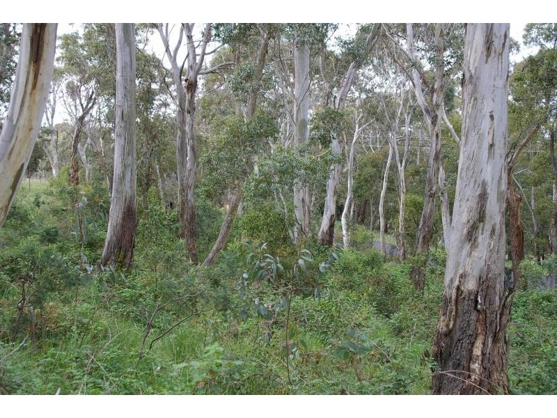 645 Rydal Road  OBERON 2787, Oberon NSW 2787