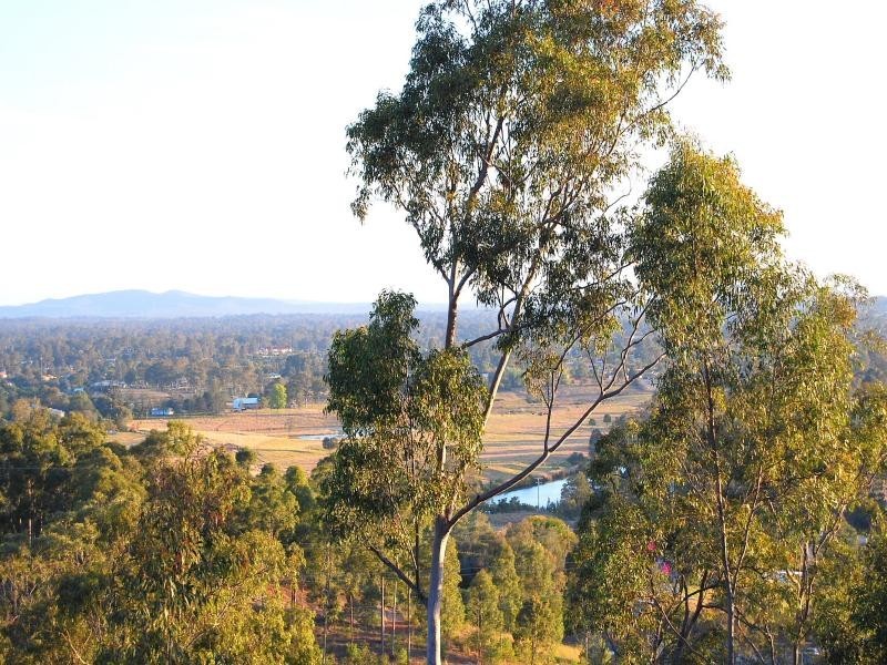 11 Ridge Road TANAH MERAH 4128, Tanah Merah QLD 4128