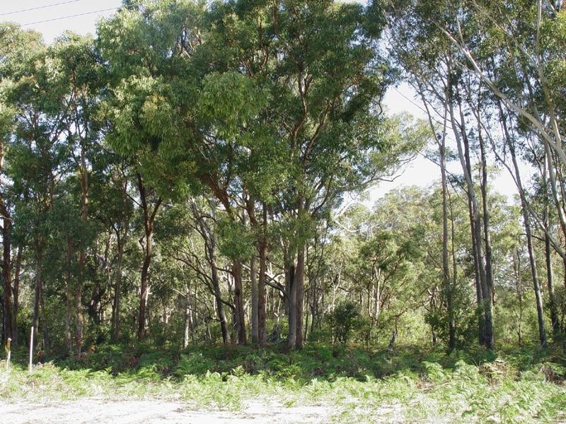 24 Warri Street PINDIMAR 2324, Pindimar NSW 2324