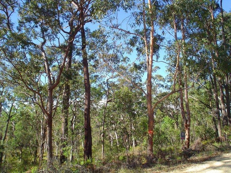 1943 Gresford Crescent NORTH ARM COVE 2324, North Arm Cove NSW 2324