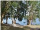 45 Curlew Crescent NERONG 2423, Nerong NSW 2423