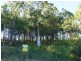 11 Plover Place NERONG 2423, Nerong NSW 2423