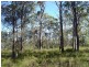 Lot 2546 Commerce Way NORTH ARM COVE 2324, North Arm Cove NSW 2324