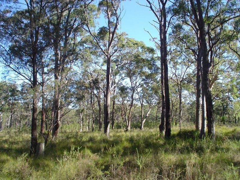 Lot 2546 Commerce Way NORTH ARM COVE 2324, North Arm Cove NSW 2324