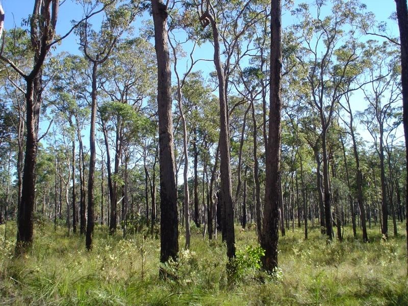 3049 Casino  Crescent NORTH ARM COVE 2324, North Arm Cove NSW 2324