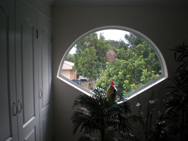 9 Intrepid Court, Beachmere QLD 4510