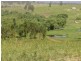 Lot 3 Brianderry Road BEGA 2550, Bega NSW 2550