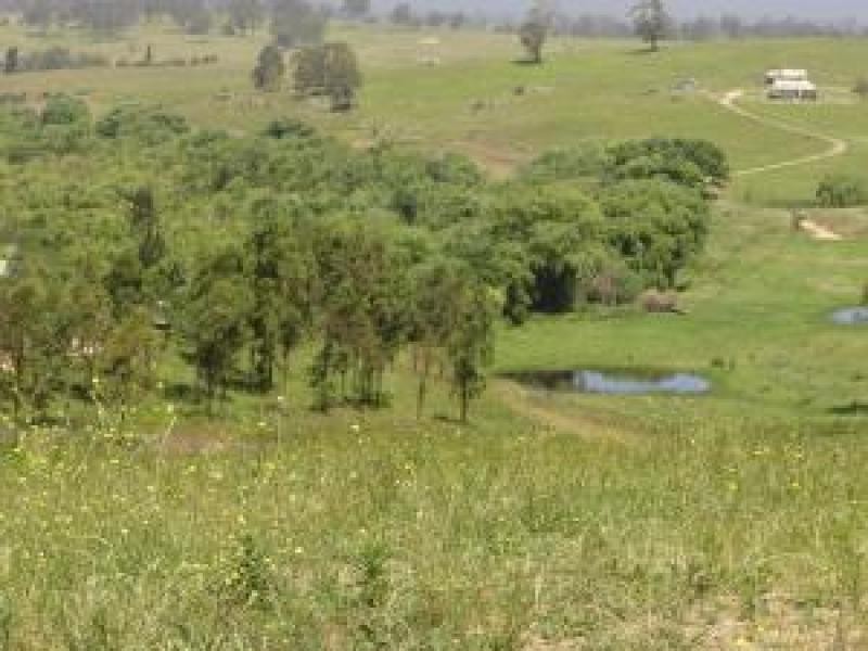Lot 3 Brianderry Road BEGA 2550, Bega NSW 2550