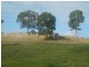 Lot 503 Glen Mia Drive BEGA 2550, Bega NSW 2550