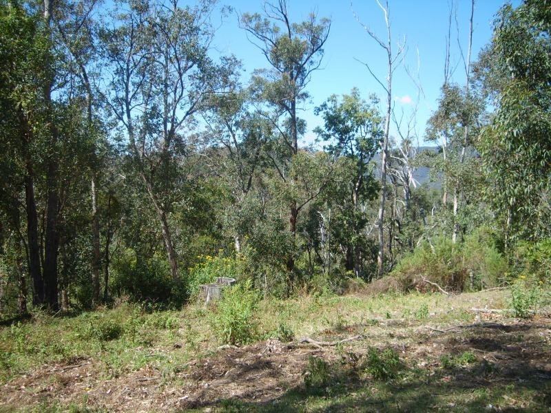 1642 Upper Brogo Road BROGO 2550, Brogo NSW 2550
