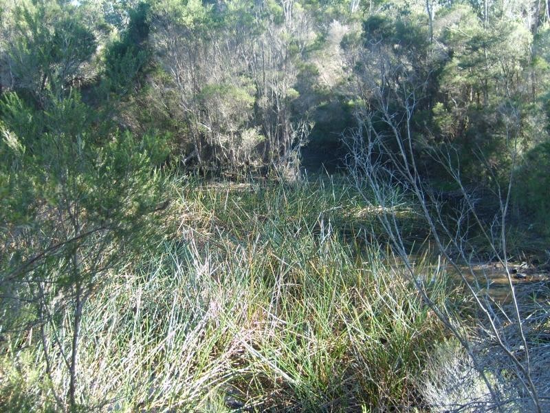 2 Penuca Road KALARU 2550, Kalaru NSW 2550