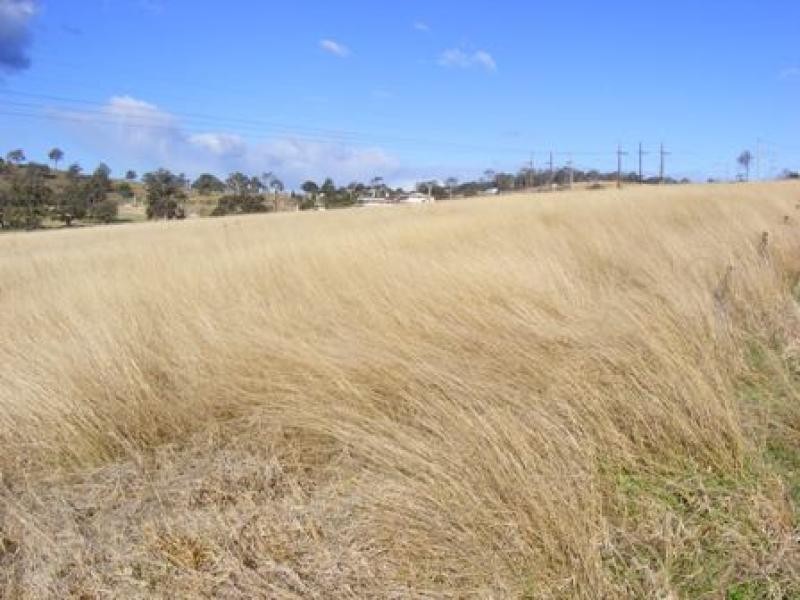 Lot 14 Max Slater Drive BEGA 2550, Bega NSW 2550