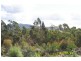 Lot 23 Kiaka Road NETHERCOTE 2549, Nethercote NSW 2549