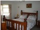 176 Pericoe Road TOWAMBA 2550, Towamba NSW 2550