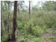 Lot 130 Fulligans Road PERICOE 2550, Pericoe NSW 2550