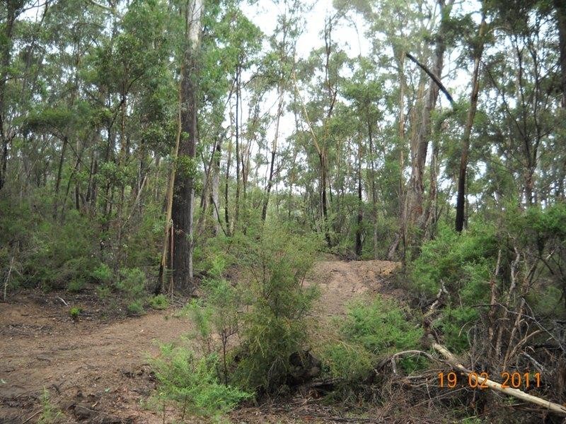 Lot 130 Fulligans Road PERICOE 2550, Pericoe NSW 2550