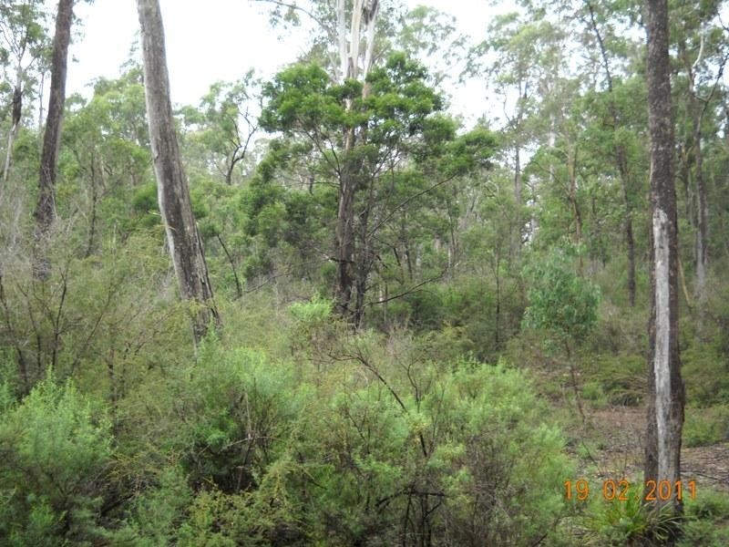 Lot 130 Fulligans Road PERICOE 2550, Pericoe NSW 2550