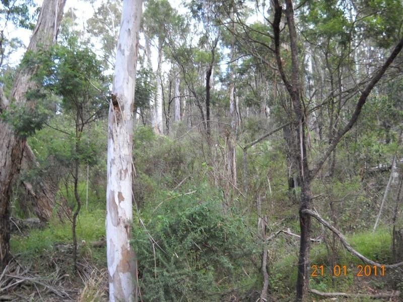 1241 Big Jack Mountain Road ROCKY HALL 2550, Rocky Hall NSW 2550