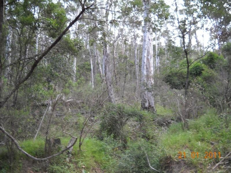 1241 Big Jack Mountain Road ROCKY HALL 2550, Rocky Hall NSW 2550