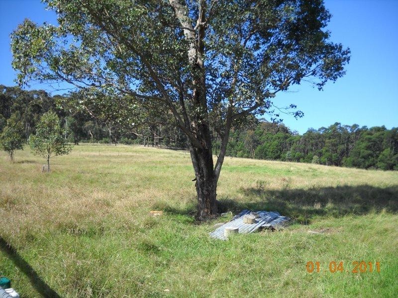 965 Back Creek Road NETHERCOTE 2549, Nethercote NSW 2549