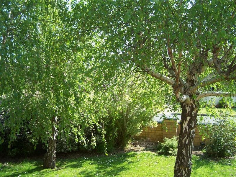 1 Garden Crescent  INVERLOCH 3996, Inverloch VIC 3996