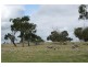 Lot 3 Desmonds Road WATTLE BANK 3995, Wattle Bank VIC 3995