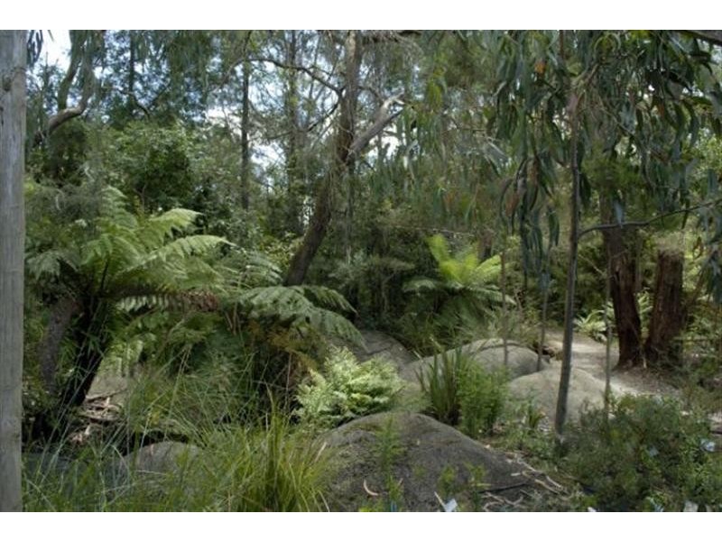 50 Pearsalls Road INVERLOCH 3996, Inverloch VIC 3996