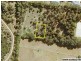 13 Correa Place INVERLOCH 3996, Inverloch VIC 3996
