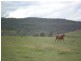 Lot 2 Yallakool Road COOMA 2630, Cooma NSW 2630