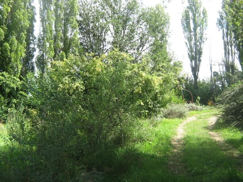 48 Bombala Street NIMMITABEL 2631, Nimmitabel NSW 2631