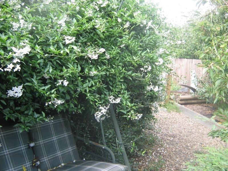 67 Wangie Street COOMA 2630, Cooma NSW 2630