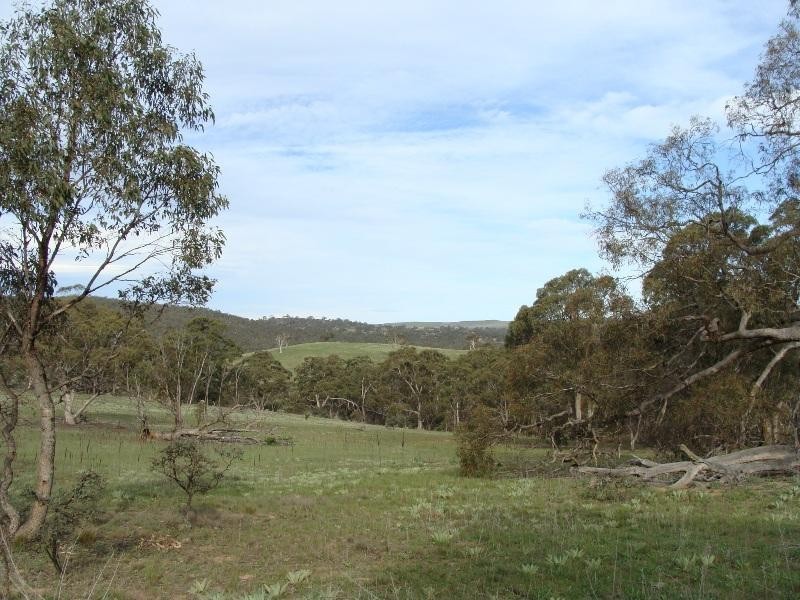 Lot 3 Ironmungie Road DALGETY 2628, Dalgety NSW 2628