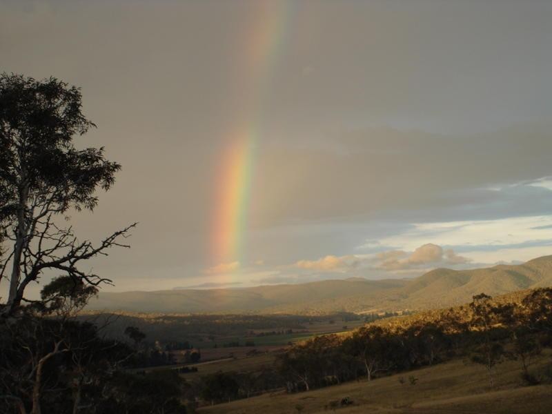 Lot 11 Mount Forest Road CARLAMINDA 2630, Carlaminda NSW 2630