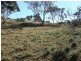 Lot 11 Mount Forest Road CARLAMINDA 2630, Carlaminda NSW 2630