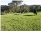 Dooralong NSW 2259