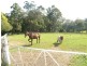 Fountaindale NSW 2258