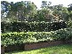 Dooralong NSW 2259