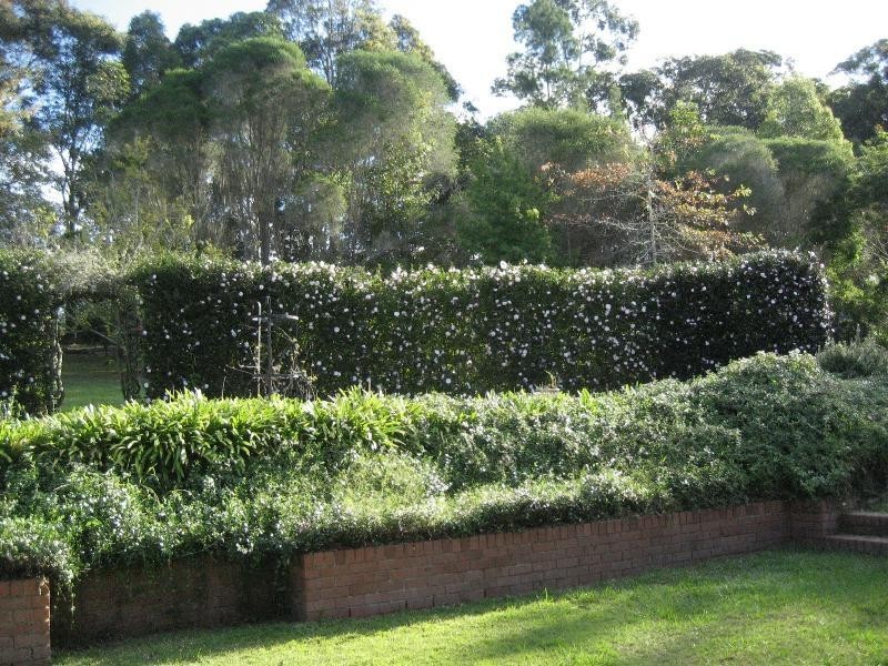 Dooralong NSW 2259