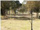 5 Burlington Drive JILLIBY 2259, Jilliby NSW 2259