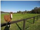 Calga NSW 2250