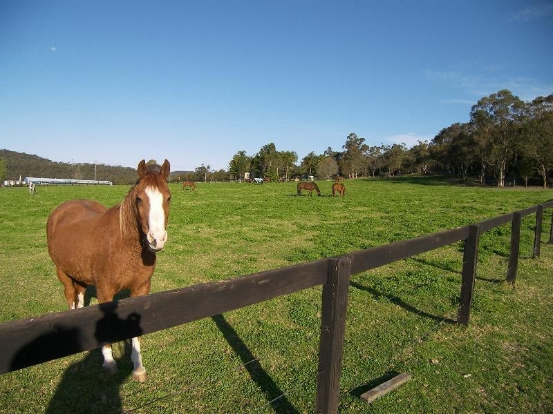 Calga NSW 2250